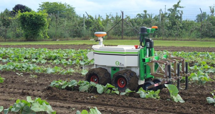 Oz Robot at Innovation Farms Ontario