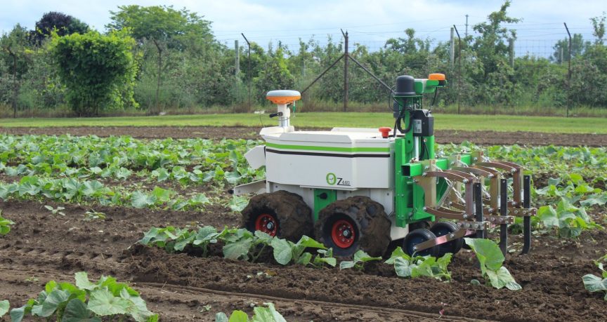 Oz Robot at Innovation Farms Ontario