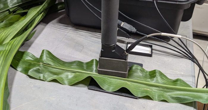 Picketa Systems LENS scanning corn.