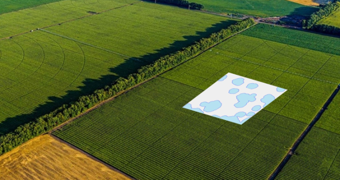 Geco Strategic Weed Management field flip