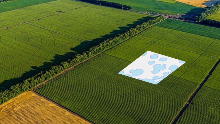 Geco Strategic Weed Management field flip